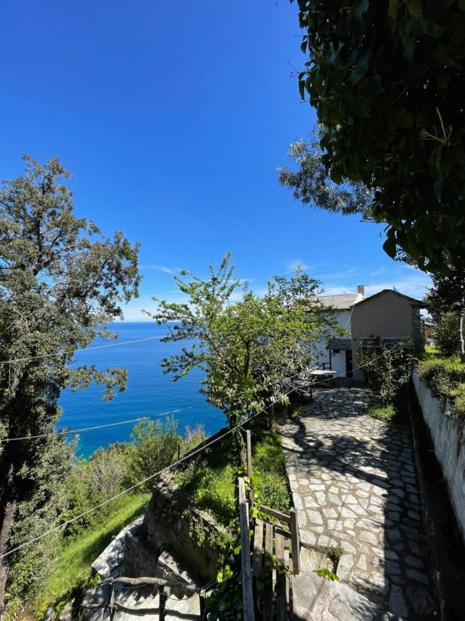 Double Studio Room By The Sea Tsagkarada Dış mekan fotoğraf